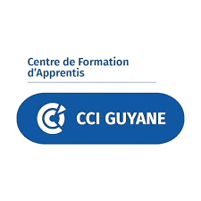 Logo CCI Guyane