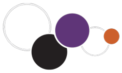 CFA Marc Ruyer logo
